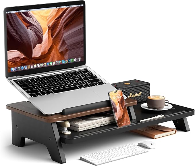 Adjustable Laptop Stand 2-Tier Riser Holder,Ventilated Cooling Ergonomic Computer Desk Organizer Accessories for 10-15.6" Notebook,Desktop Storage Compatible with MacBook,Dell,HP,Lenovo