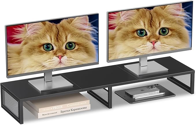Dual Computer Monitor Stand Riser, Desk Organizers and Accessories, Printer & TV Stand, Desk Shelf, Office Desk Accessories & Desktop Workspace Organizer for Office Supplies, Black