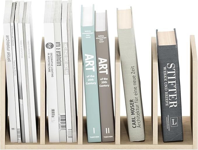 Furinno HERMITE Desk File Folder Organizers, 5-Space Vertical Desktop Office Organization Racks, Desk Top Display Book Shelf, for Paper, Office Supplies, Magazine, Bauhaus Oak