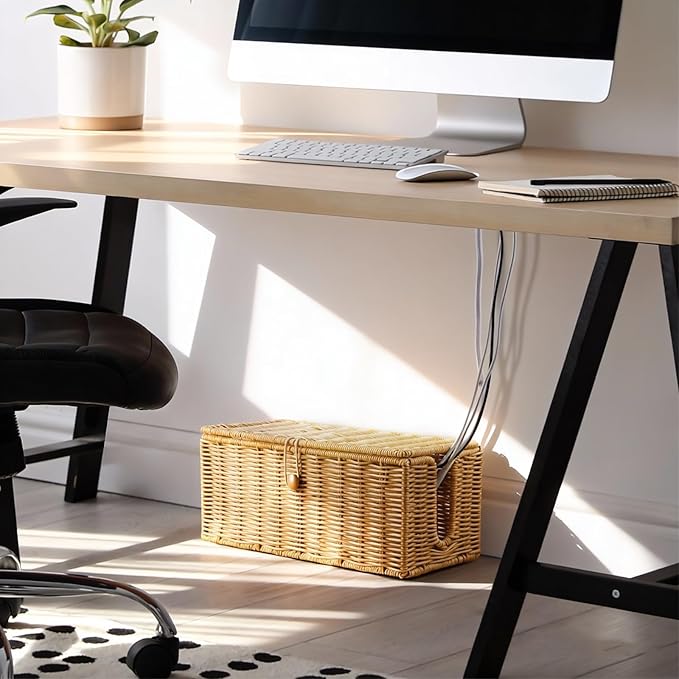 Cable Management Box, Handwoven Synthetic Rattan Cable Organizer, 2 Side Open Slots Cords Hider Box, Under Desk Cord Organizer for USB Wire, TV PC Charger & Power Strip, Natural