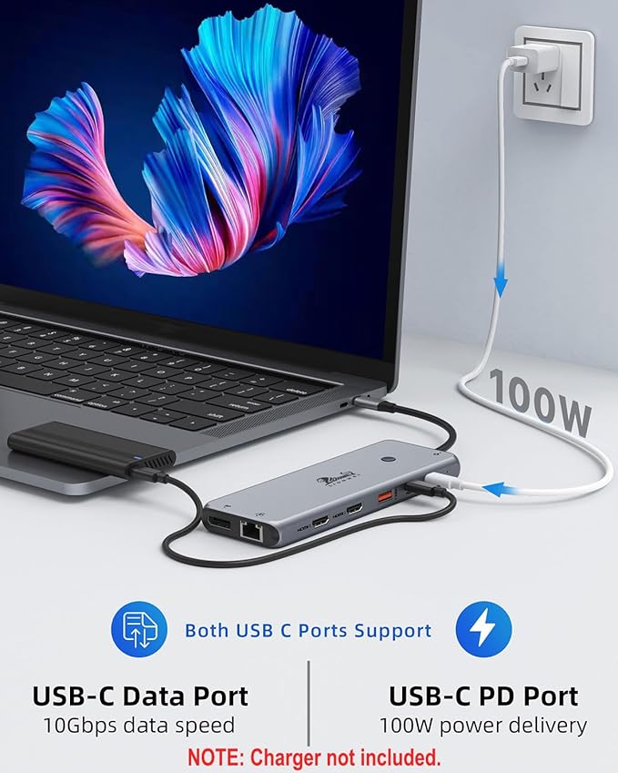13 in 1 Laptop USB C Docking Station - Dual Monitor, 8 USB C/A Ports, Ethernet, Audio - LIONWEI USB C Hub for MacBook,Dell,HP,Lenovo,Surface