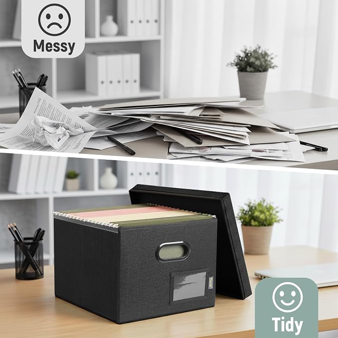 BALEINE File Organizer Box with Lid, Collapsible File Folder Organizer with Plastic Slide, Filing Box for Office Home Document Organizer Storage (Black, 4PK)