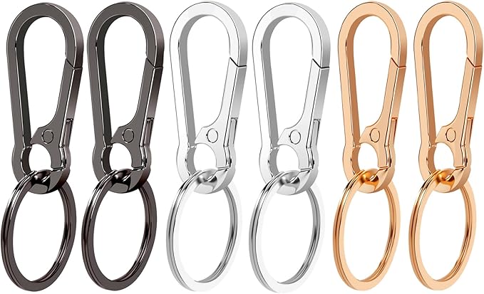 4Pcs Keychain for Car Keys, Metal Key Chain Carabiner for Keys, Key Chain Holder Clip Key Organizer Key Ring