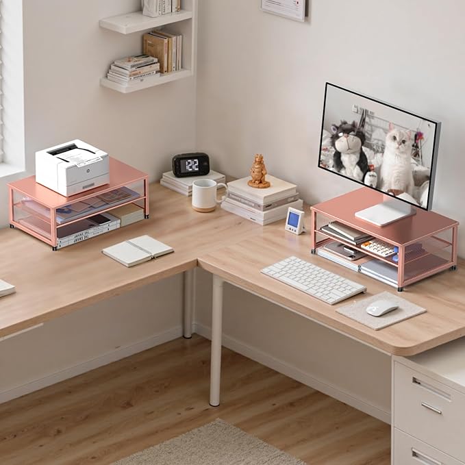 ECOLOVI 2-Tier Computer Monitor Stand Riser, Desk Organizer for Monitor, Printer & Laptop Stand, Desktop Workspace Organizers for Office Supplies(Rose Gold)
