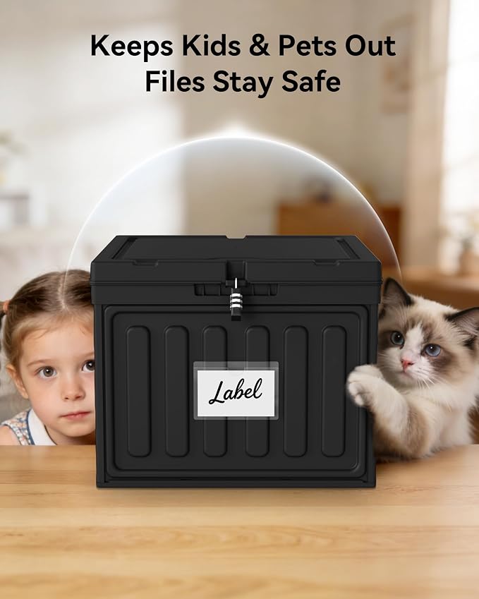 Oterri Plastic File Box with Lid for Letter Size Hanging File Folders, Hanging File Folder Box for Home, Office, School, File Cabinet, Assembly File Organizer, Black，Large-2 Pack Without Folders