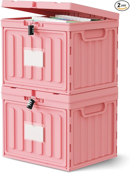 Oterri Plastic File Box with Lid for Letter Size Hanging File Folders, Hanging File Folder Box for Home, Office, School, File Cabinet, Assembly File Organizer, Pink，Large-2 Pack Without Folders