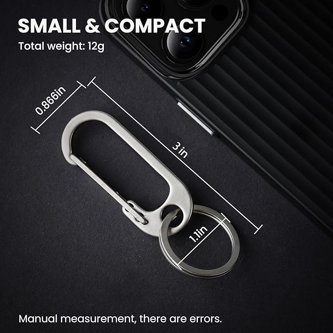 Prometheism Stainless Steel Keychain, Keyring Clip Holder Organizer for Home and Car,Carabiner Keys Finder
