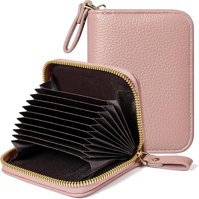 EcoVision Credit Card Holder RFID Card Case Wallet, Small Accordion Zipper Card Case Holder, Card Organizer Case for Women Men