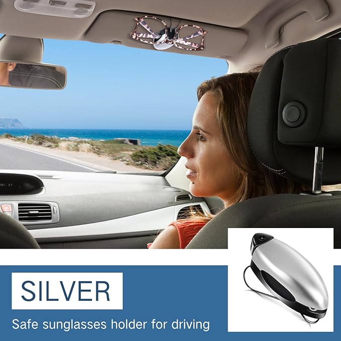 Frienda 5 Pcs Auto Car Vehicle Sun Visor Clip Holder Sunglasses Holder for Eyeglasses Mount Ticket Card Clip for Car Accessories (Silver)