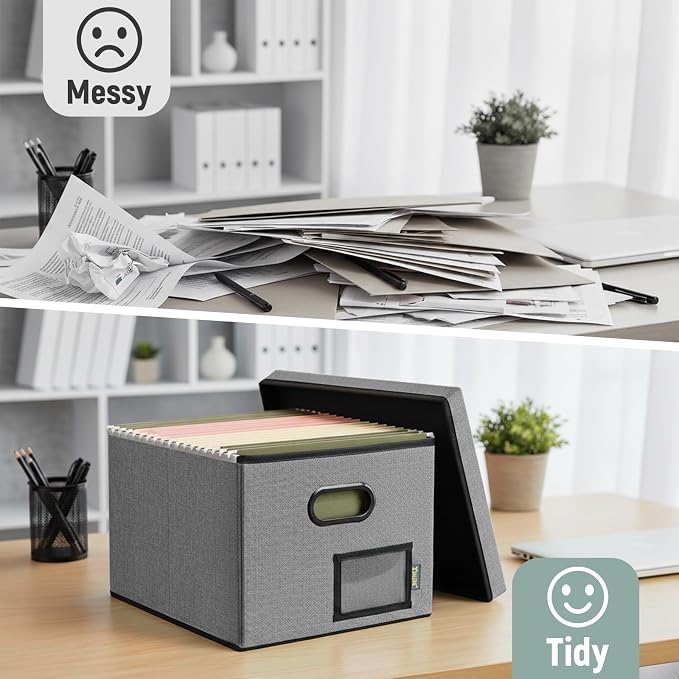 BALEINE File Organizer Box with Lid, Collapsible File Folder Organizer with Plastic Slide, Filing Box for Office Home Document Organizer Storage (Gray, 4PK)