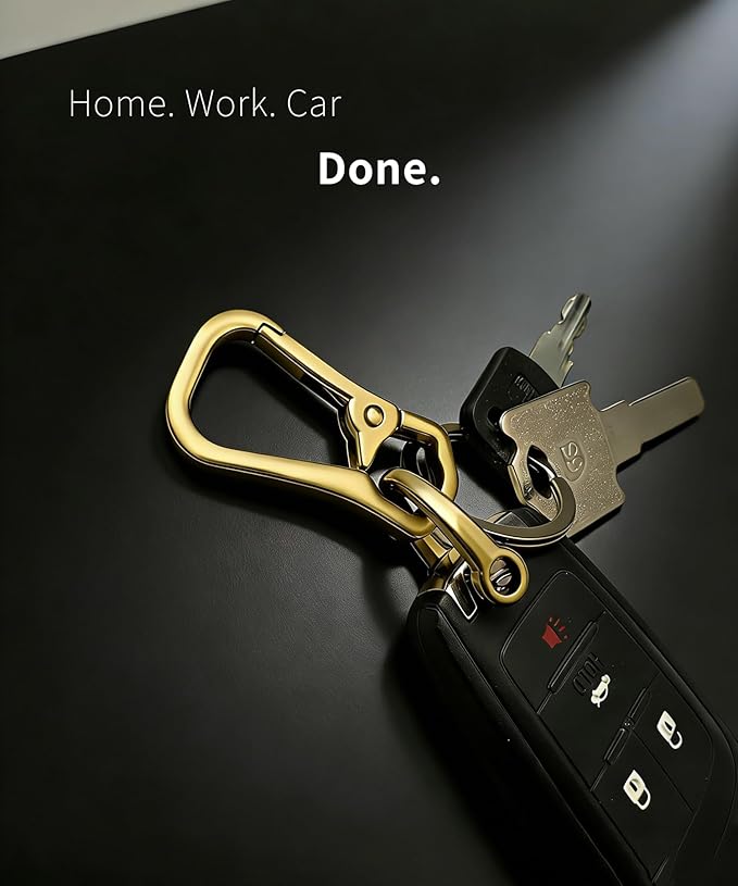 Metal Keychain Clip with Key Rings and D Ring, Heavy Duty Carabiner Key Chain Hook Holder for Car Home Keys
