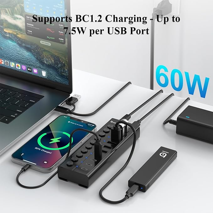 Powered USB Hub, 10-Port USB C Hub with 6 USB-A 3.2, 4 USB-C 3.2 Ports, Individual Switches and 12V/5A Power Adapter, Aluminum USB Extension for MacBook, Laptop/PC and More(Black)