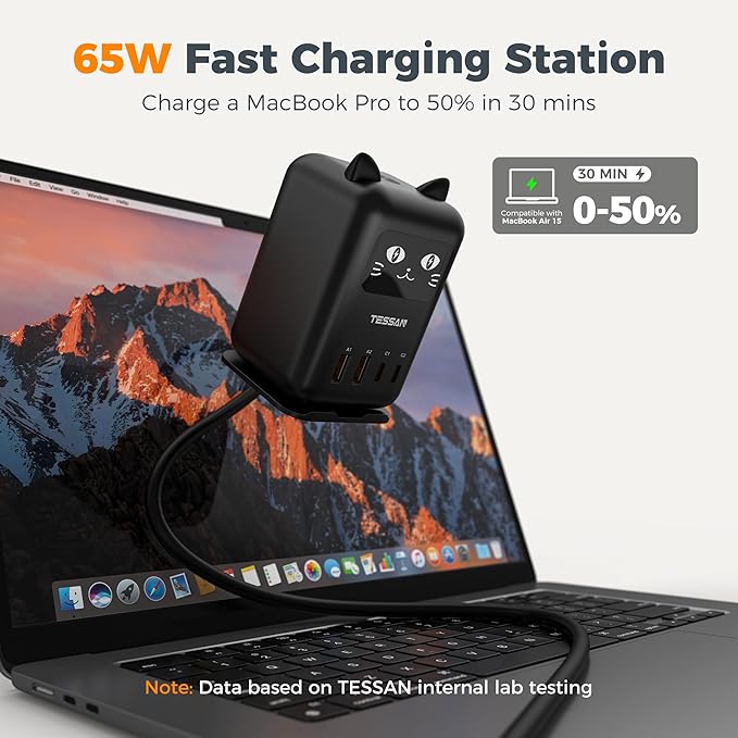 USB C Charger Block PD 65W, TESSAN Charging Station for Multiple Devices, Desktop Tower Charger with 4 USB Ports for iPhone 17/16/15, MacBook, Tablet, Office Home Dormroom, Black