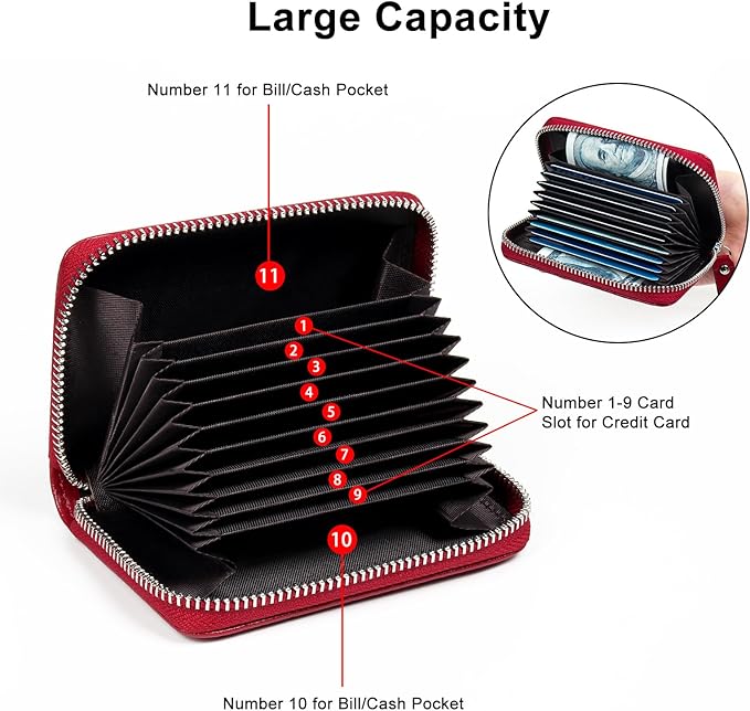 EcoVision Credit Card Holder RFID Card Case Wallet, Small Accordion Zipper Card Case Holder, Card Organizer Case for Women Men