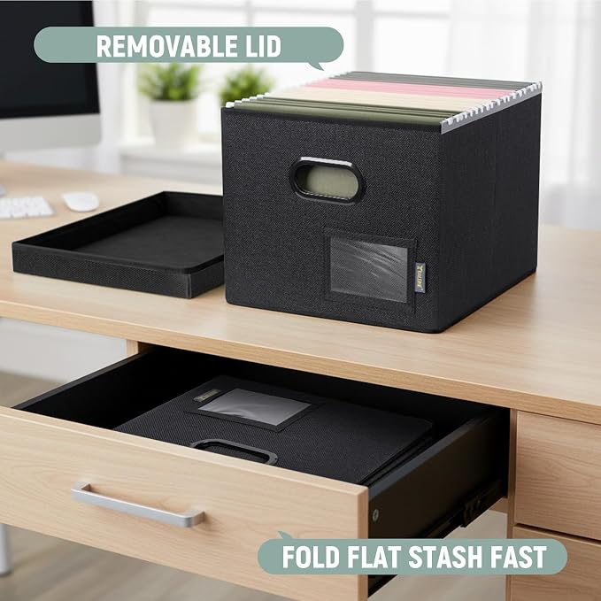 BALEINE File Organizer Box with Lid, Collapsible File Folder Organizer with Plastic Slide, Filing Box for Office Home Document Organizer Storage (Black, 2PK)