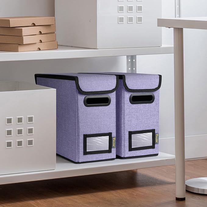 BALEINE File Organizer Box with Lid, Collapsible File Folder Organizer with Plastic Slide, Hanging File Folder Box for Office Document Storage (2 Pack, Purple, S)