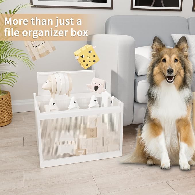 Bamboo Hanging File Boxes with Lids 2 Pack, File Organizer Box for Letter/Legal File, File Box with Hanging Folders Acrylic Light Easy Assembly File Storage Boxes for Home Office, White