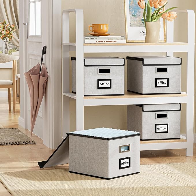 File Organizer Box with Lid, Collapsible File Folder Organizer for Office Document Storage, Filing Box with Plastic Slide for Letter Size Hanging File Folders(1 Pack, White)