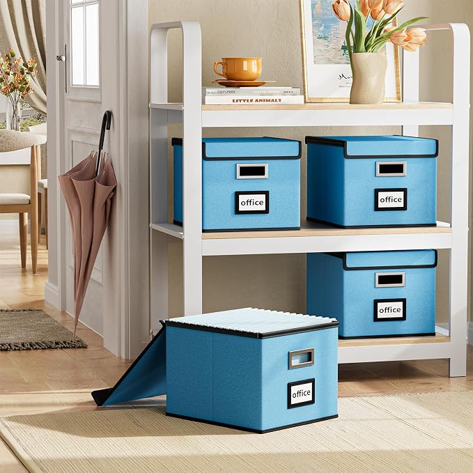 File Organizer Box with Lid, Collapsible File Folder Organizer for Office Document Storage, Filing Box with Plastic Slide for Letter Size Hanging File Folders(1 Pack, Sky-blue)