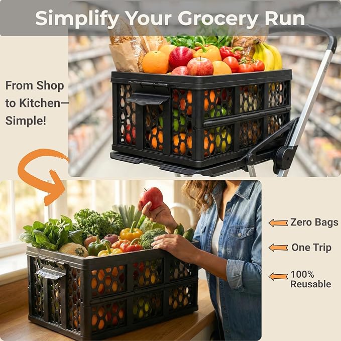 Mymazn Trunk Crate Organizer with Cooler for Car, Collapsible Plastic Trunk Lid Organizer Box for Travel, Groceries, Sports, Home, Tailgating | Removable Insulated Cooler Set