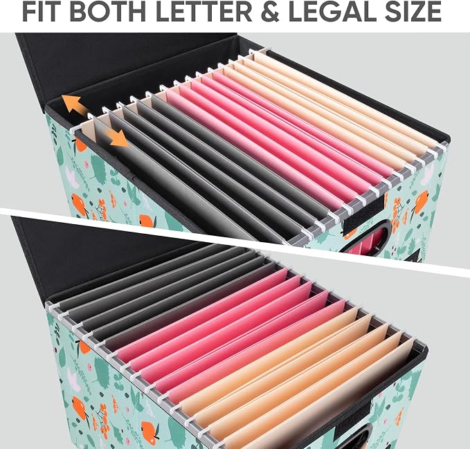 BALEINE File Organizer Box with Lid, Collapsible File Folder Organizer with Plastic Slide, Hanging File Folder Box for Office Document Storage (2 Pack, Spring Stroll)