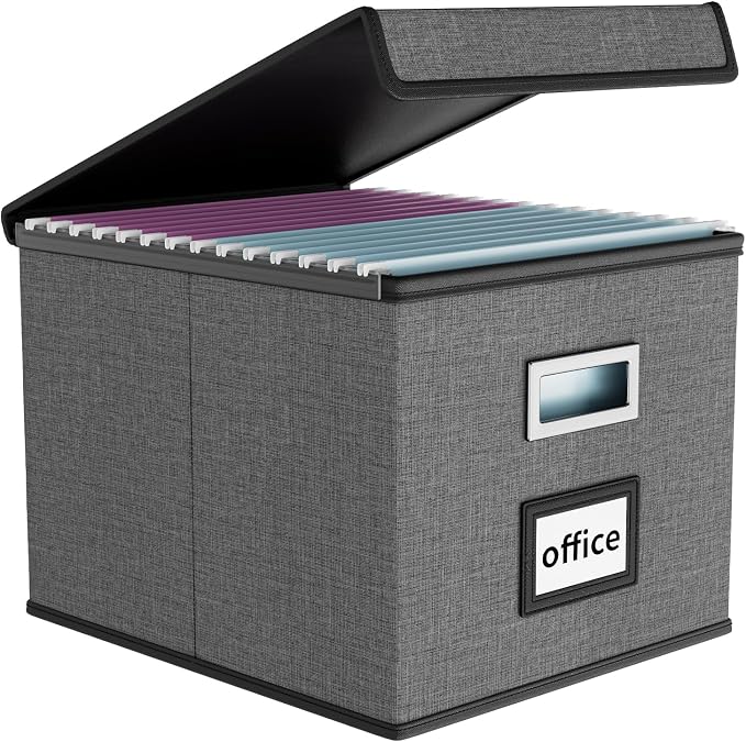 File Organizer Box with Lid, Collapsible File Folder Organizer for Office Document Storage, Filing Box with Plastic Slide for Letter Size Hanging File Folders(1 Pack, Smoky Grey)