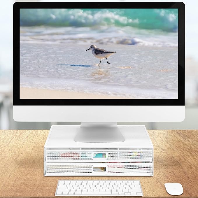 Mount-It! Mesh Computer Monitor Stand Riser [Metal] Desk Organizer with Two Pullout Storage Drawers for Desktop, Laptop, and Printer Accessories and Office Supplies (White)