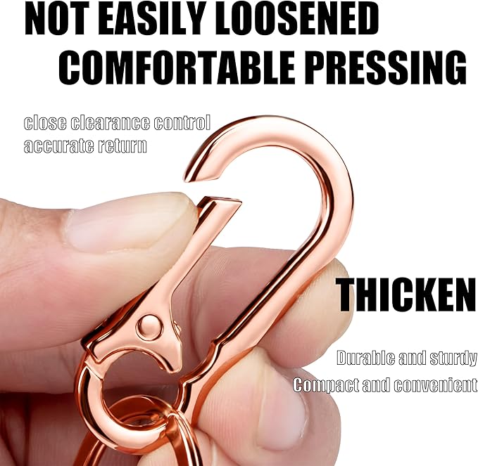 Wikavanli Metal Keychains Keyring Key Chain Ring Clip Holder Organizer for Home Car Keys Key Finder Women Men