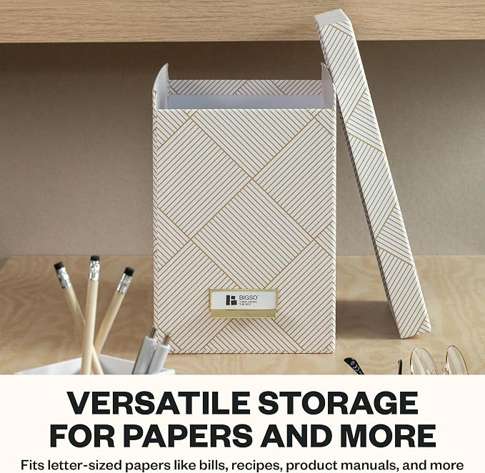 Bigso John Fiberboard Label Frame Desktop File Storage Box - Document Organizer for Important Paperwork - Durable Hanging File Box with Lid & Metal Label Window - 7.36 x 13.38 x 10.51in - Gold Squares