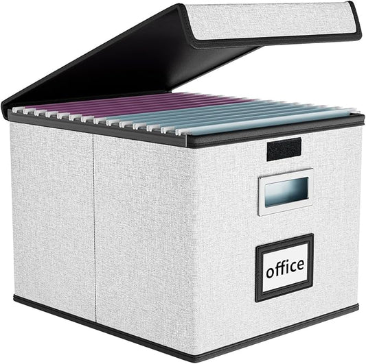 File Organizer Box with Lid, Collapsible File Folder Organizer for Office Document Storage, Filing Box with Plastic Slide for Letter Size Hanging File Folders(1 Pack, White)