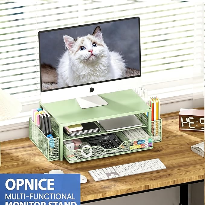 OPNICE Desk Organizers and Accessories, 2-Tier Computer Monitor Stand Riser with Drawer and 2 Pen Holders, Laptop Stand, Office Desk Accessories for Office Supplies, Green