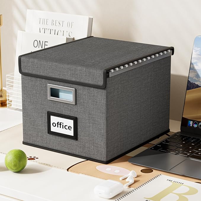 File Organizer Box with Lid, Collapsible File Folder Organizer for Office Document Storage, Filing Box with Plastic Slide for Letter Size Hanging File Folders(1 Pack, Smoky Grey)
