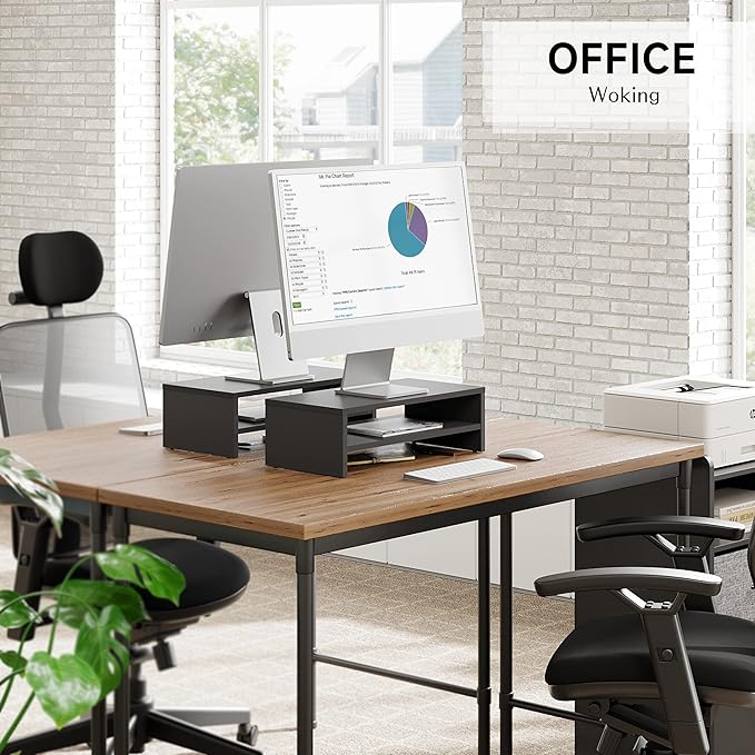 FITUEYES Computer Monitor Riser Stand Clamp Desktop Stand Workspace Organizer 2-Pack DT204202WB