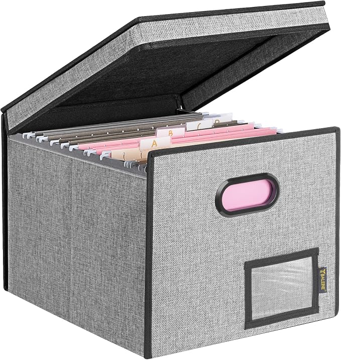 BALEINE File Organizer Box with Lid, Collapsible File Folder Organizer with Plastic Slide, Hanging File Folder Box for Office Document Storage (Tab Friendly, 1 Pack, Grey)
