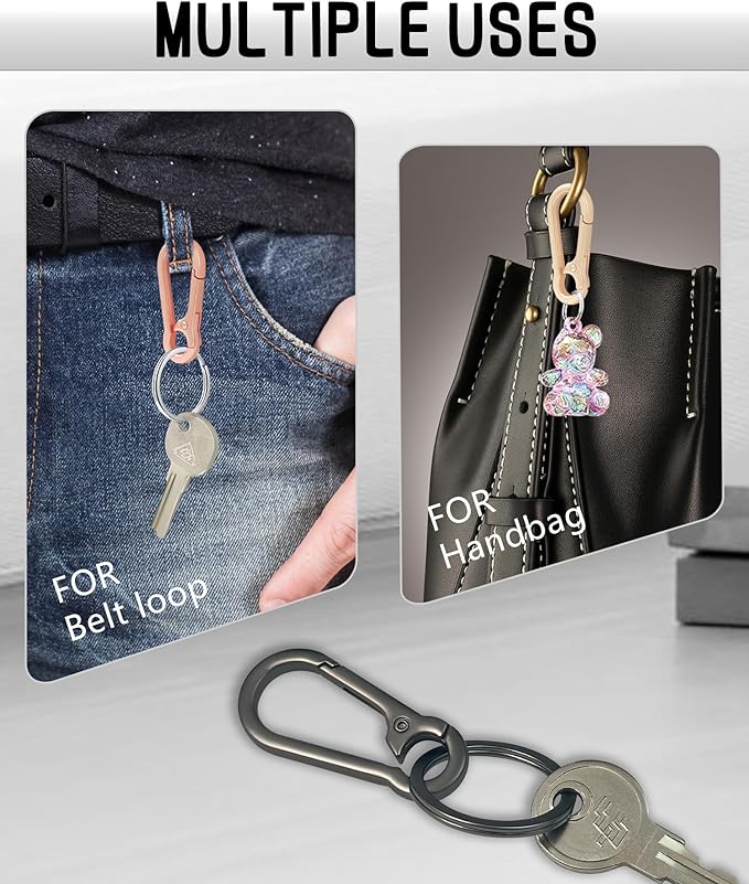 Metal Keychain Clip with Key Rings and D Ring, Heavy Duty Carabiner Key Chain Hook Holder for Car Home Keys