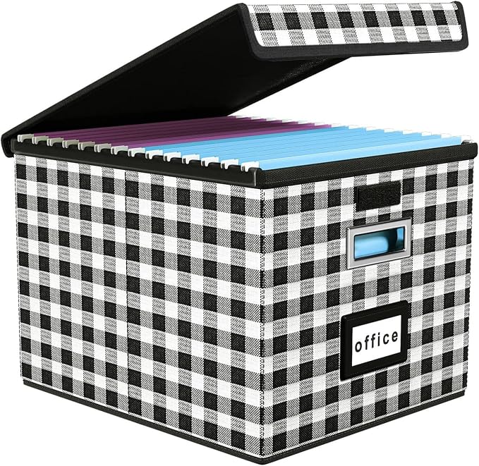 File Organizer Box with Lid, Collapsible File Folder Organizer for Office Document Storage, Filing Box with Plastic Slide for Letter Size Hanging File Folders(1 Pack, Black & White Lattice)