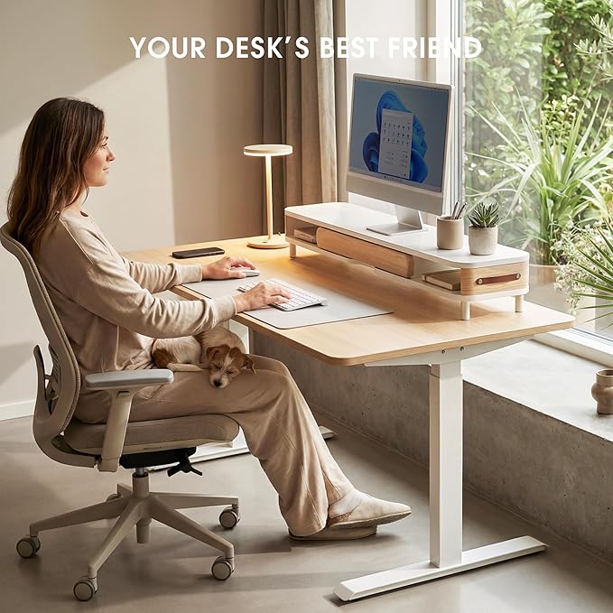 Fenge Monitor Stand with Large Drawer, 42.5 Inch Dual Monitor Riser for 2 Monitors, Ergonomic Computer Desk Shelf with Soft Touch Leather & Storage Organizer for Laptop, Computer, TV, PC, Printers