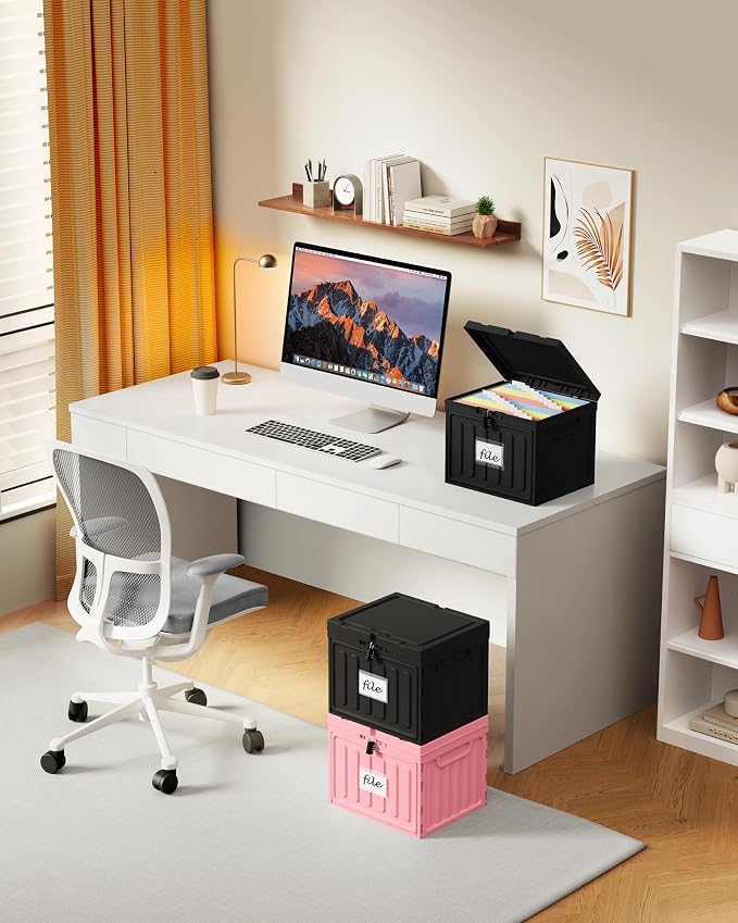 Oterri Plastic File Box with Lid for Letter Size Hanging File Folders, Hanging File Folder Box for Home, Office, School, File Cabinet (Black, Large-1 Pack Without Folders)