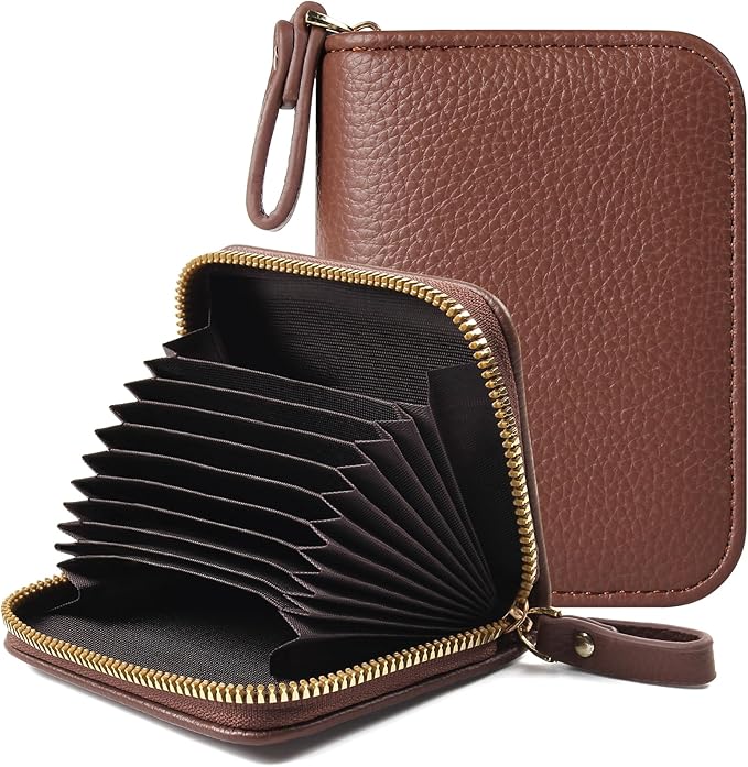 EcoVision Credit Card Holder RFID Card Case Wallet, Small Accordion Zipper Card Case Holder, Card Organizer Case for Women Men