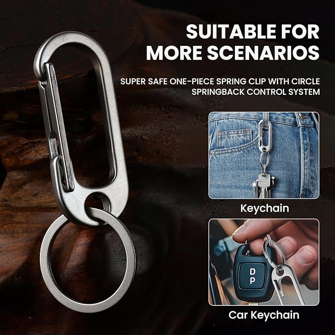Prometheism Stainless Steel Keychain, Keyring Clip Holder Organizer for Home and Car,Carabiner Keys Finder