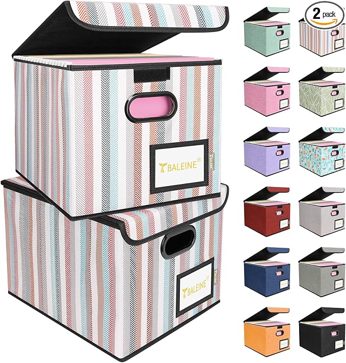 BALEINE File Organizer Box with Lid, Collapsible File Folder Organizer with Plastic Slide, Hanging File Folder Box for Office Document Storage (2 Pack, Color Stripe)