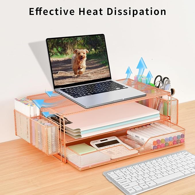 AUPSEN Computer Monitor Stands Riserï¼?-Tier Desk Organizers and Accessories, Office Desk Accessories Organizer with Drawers and 2 Pen Holder for Office Supplies (Rose Gold)