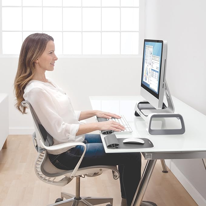 Fellowes I-Spire Series Monitor Lift/Stand, White/Gray (9311101)
