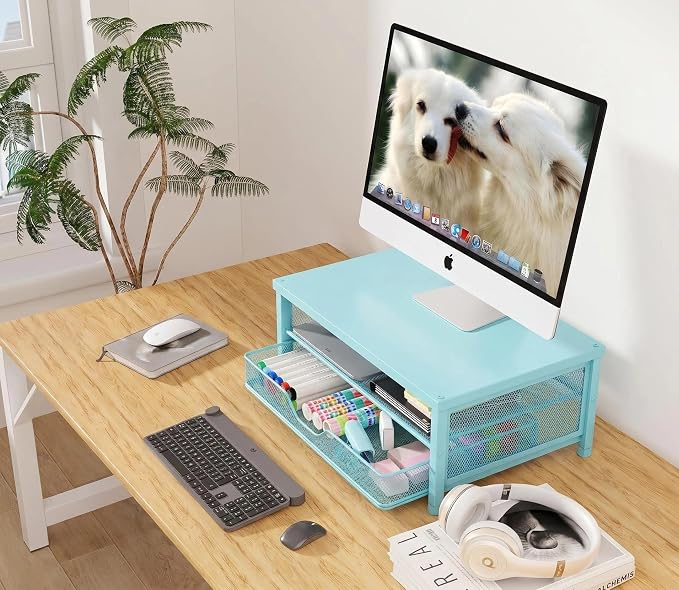 OPNICE Computer Monitor Stand Riser, Desk Organizer with Drawer, Printer & Laptop Stand, Office Desk Accessories & Workspace Desktop Organizers Storage for Office Supplies(Blue)