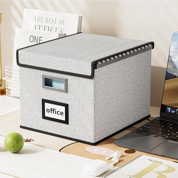 File Organizer Box with Lid, Collapsible File Folder Organizer for Office Document Storage, Filing Box with Plastic Slide for Letter Size Hanging File Folders(1 Pack, White)