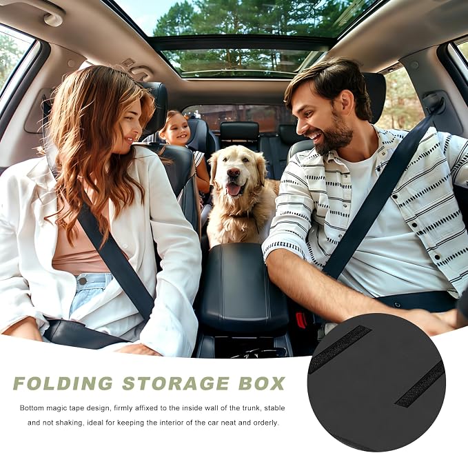 Car Trunk Organizer with Lid, 28L Waterproof Oxford Fabric Auto Trunk Cargo Storage Box w/Aluminium Alloy Handle, Collapsible 2-Compartment Storage Organizer for RV SUV Truck (Black)