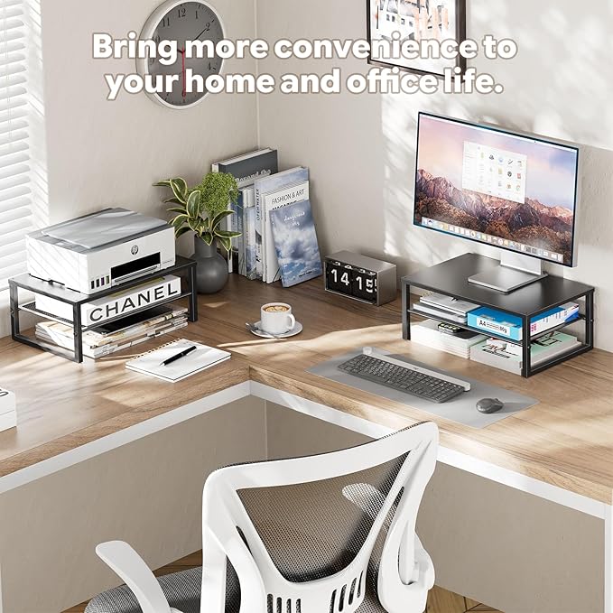 Ekisemio 2-Tier Computer Monitor Stand Riser, Desk Organizer for Monitor, Black