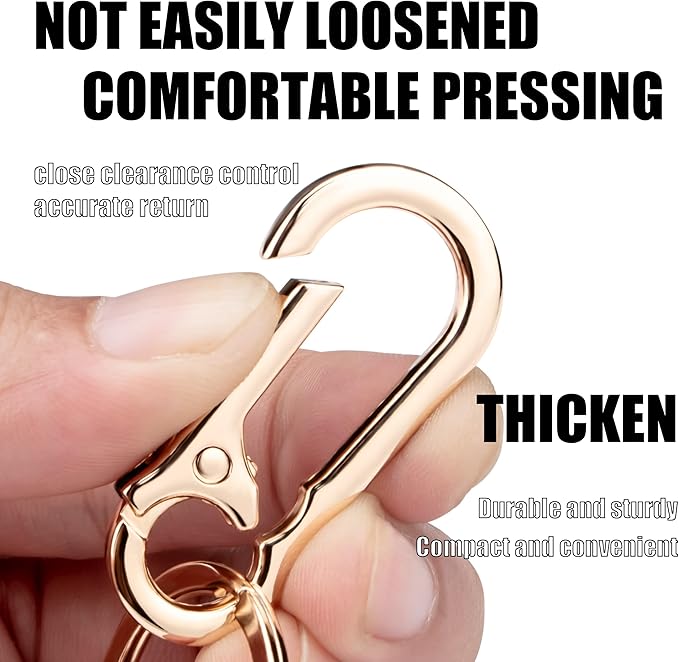 Wikavanli Metal Keychains Keyring Key Chain Ring Clip Holder Organizer for Home Car Keys Key Finder Women Men