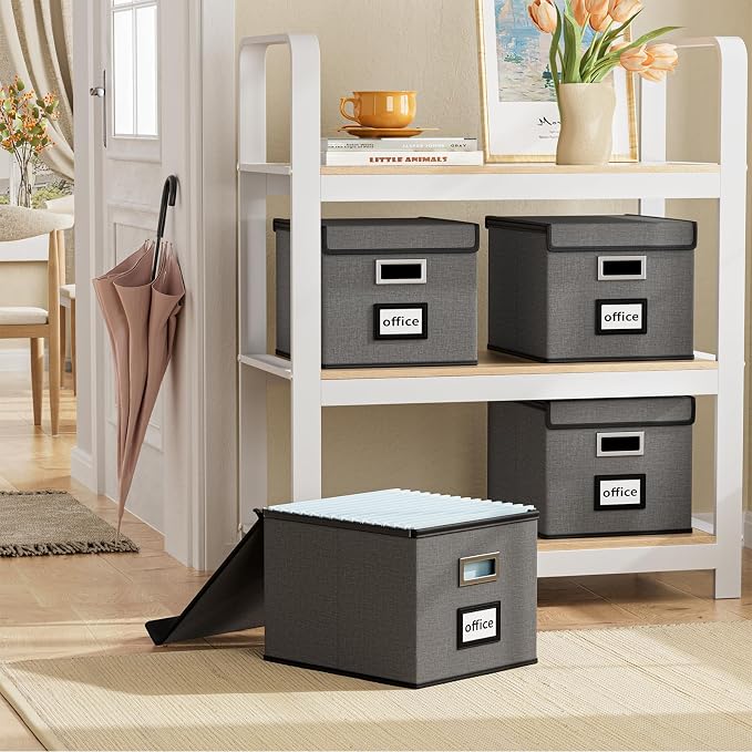 File Organizer Box with Lid, Collapsible File Folder Organizer for Office Document Storage, Filing Box with Plastic Slide for Letter Size Hanging File Folders(1 Pack, Smoky Grey)