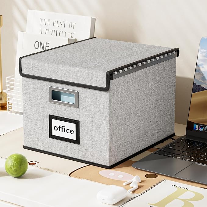 File Organizer Box with Lid, Collapsible File Folder Organizer for Office Document Storage, Filing Box with Plastic Slide for Letter Size Hanging File Folders(1 Pack, Light Grey)